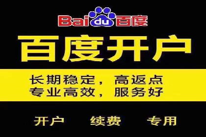 百度竞价代运营的成功案例：从零到一的突破